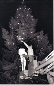 F32 Kerstboom verlichting aanbrengen